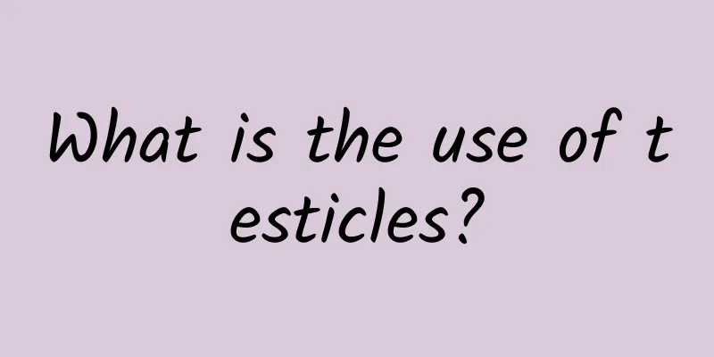 What is the use of testicles?