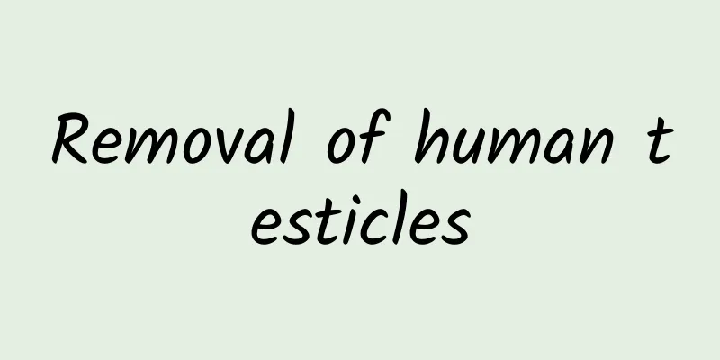 Removal of human testicles