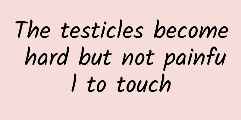The testicles become hard but not painful to touch