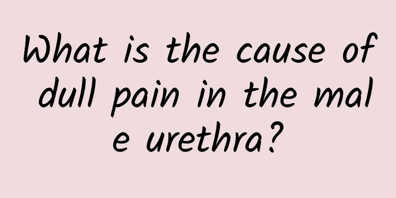 What is the cause of dull pain in the male urethra?