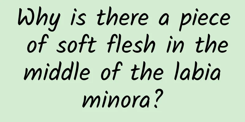 Why is there a piece of soft flesh in the middle of the labia minora?