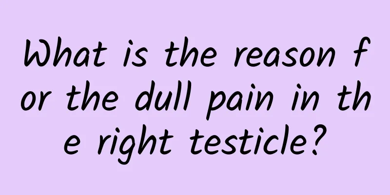 What is the reason for the dull pain in the right testicle?