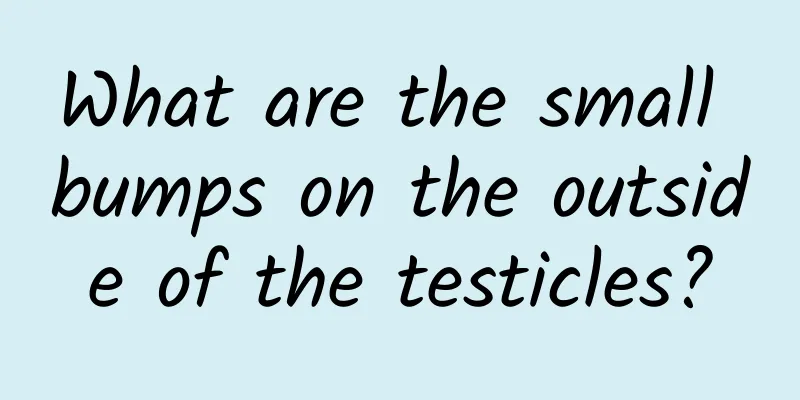What are the small bumps on the outside of the testicles?