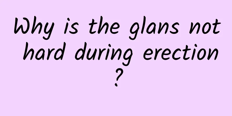 Why is the glans not hard during erection?