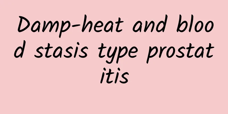 Damp-heat and blood stasis type prostatitis