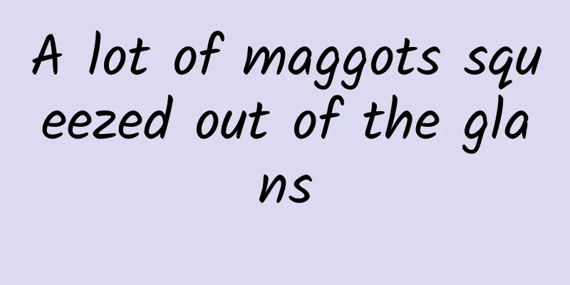 A lot of maggots squeezed out of the glans