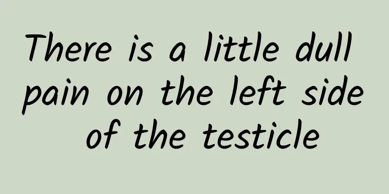 There is a little dull pain on the left side of the testicle