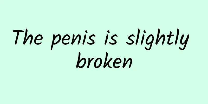 The penis is slightly broken