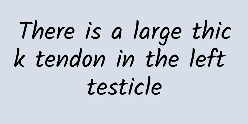 There is a large thick tendon in the left testicle