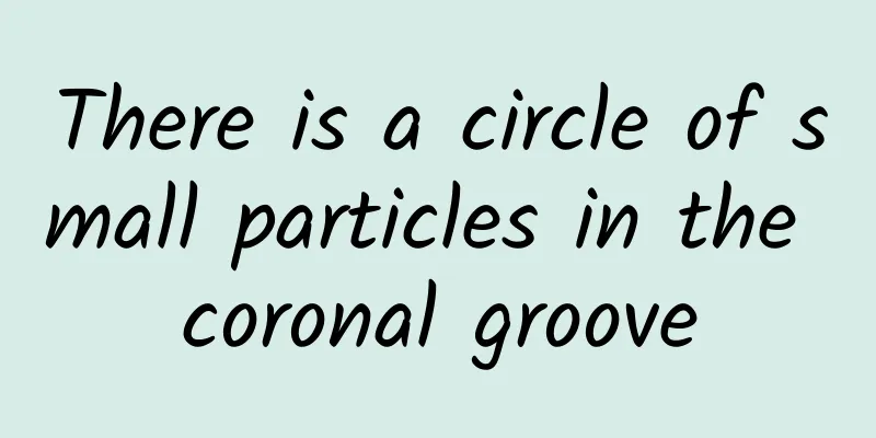 There is a circle of small particles in the coronal groove