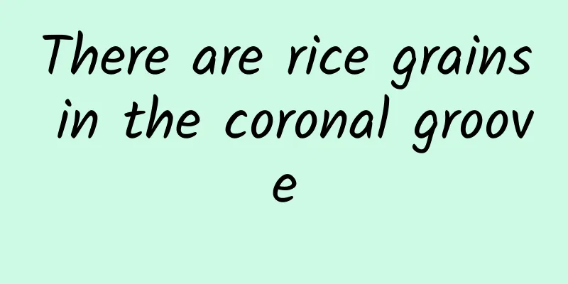 There are rice grains in the coronal groove