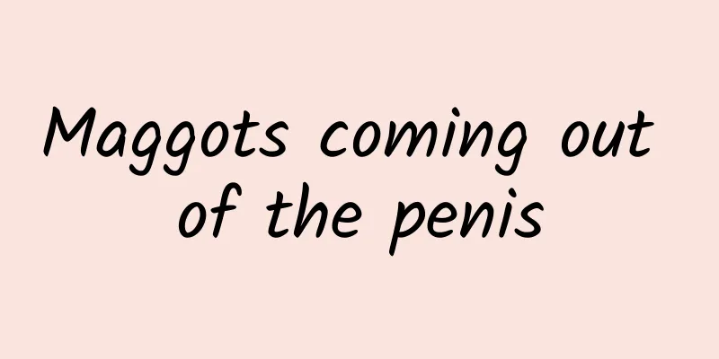 Maggots coming out of the penis