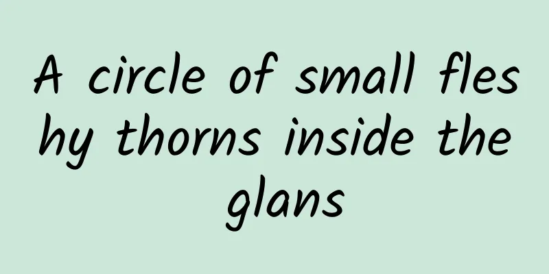 A circle of small fleshy thorns inside the glans