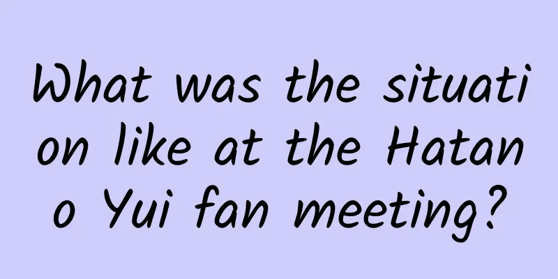 What was the situation like at the Hatano Yui fan meeting?
