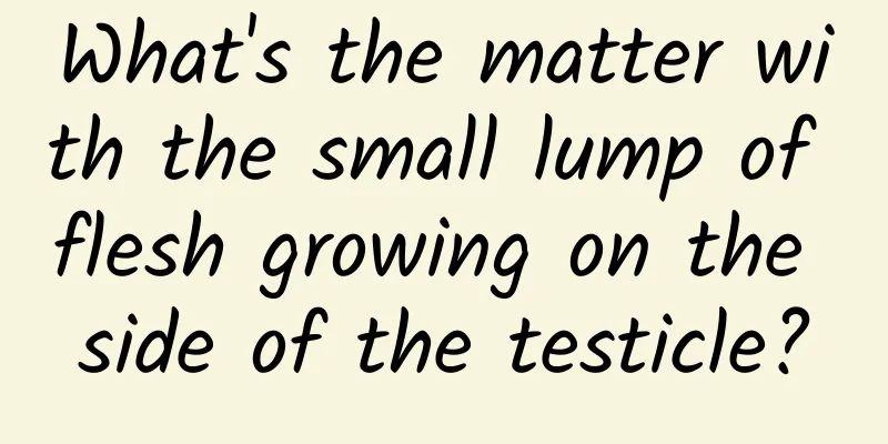 What's the matter with the small lump of flesh growing on the side of the testicle?