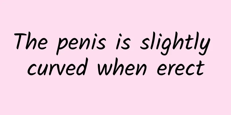 The penis is slightly curved when erect