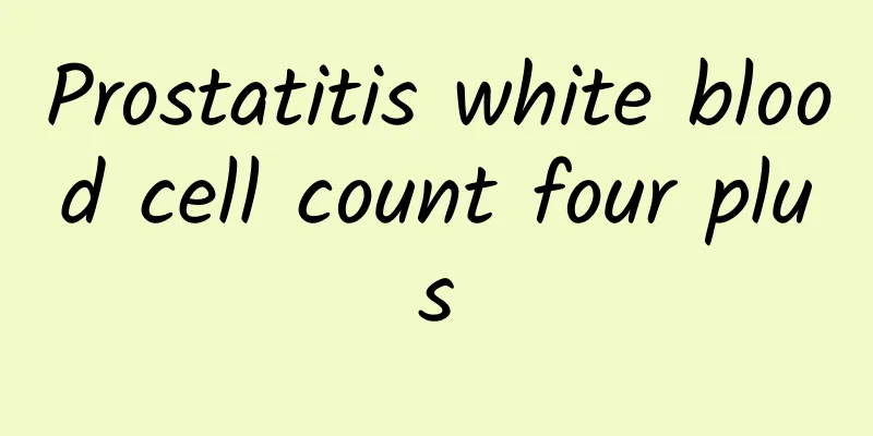 Prostatitis white blood cell count four plus
