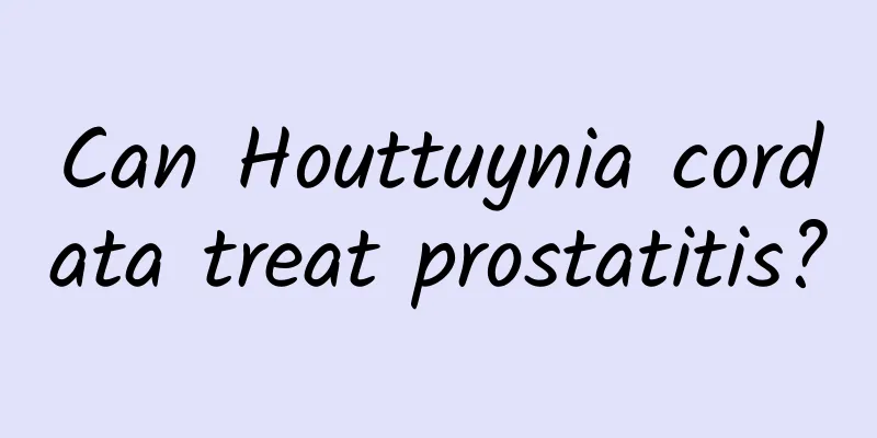 Can Houttuynia cordata treat prostatitis?