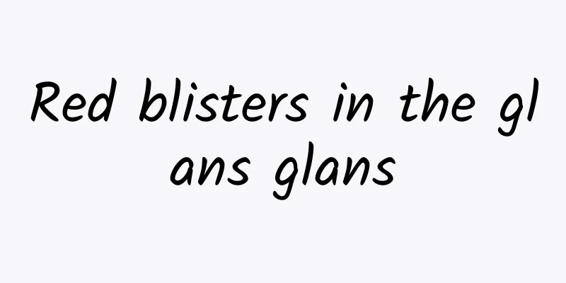 Red blisters in the glans glans