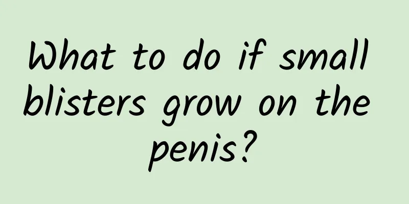 What to do if small blisters grow on the penis?