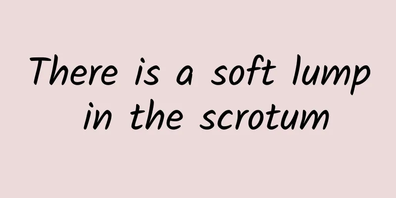 There is a soft lump in the scrotum