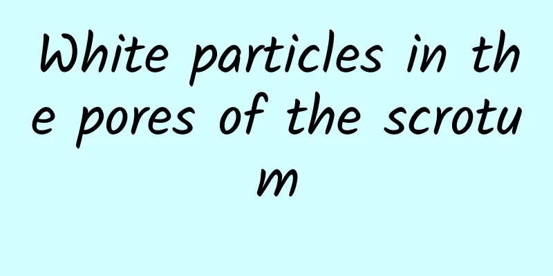 White particles in the pores of the scrotum