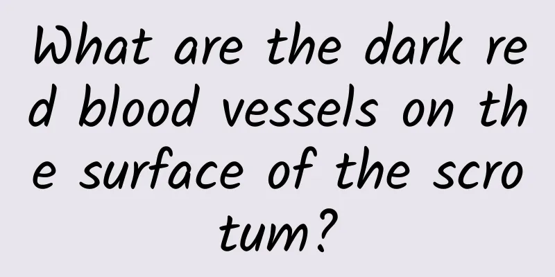 What are the dark red blood vessels on the surface of the scrotum?