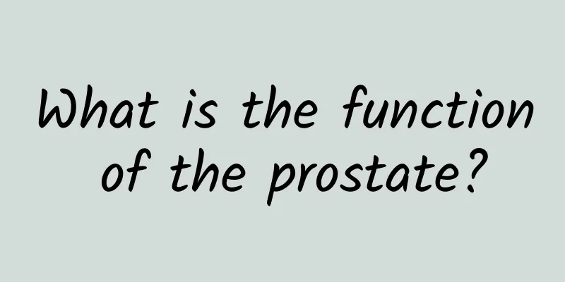What is the function of the prostate?