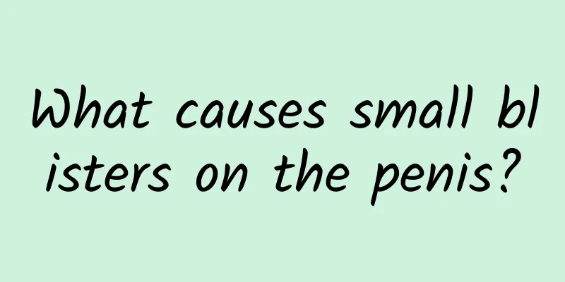 What causes small blisters on the penis?