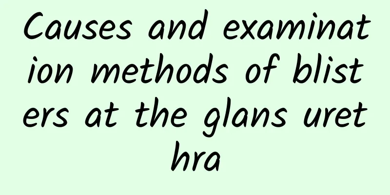 Causes and examination methods of blisters at the glans urethra