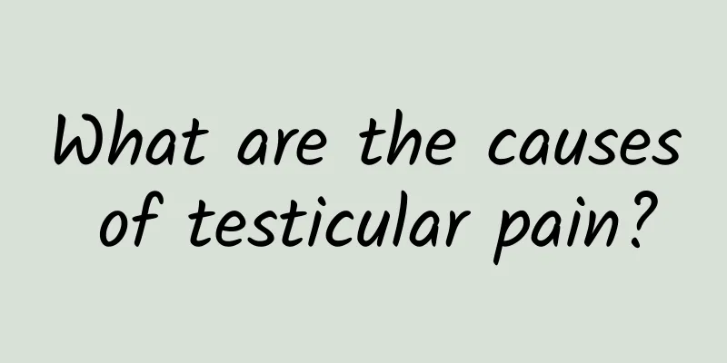 What are the causes of testicular pain?