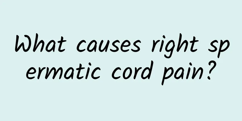 What causes right spermatic cord pain?