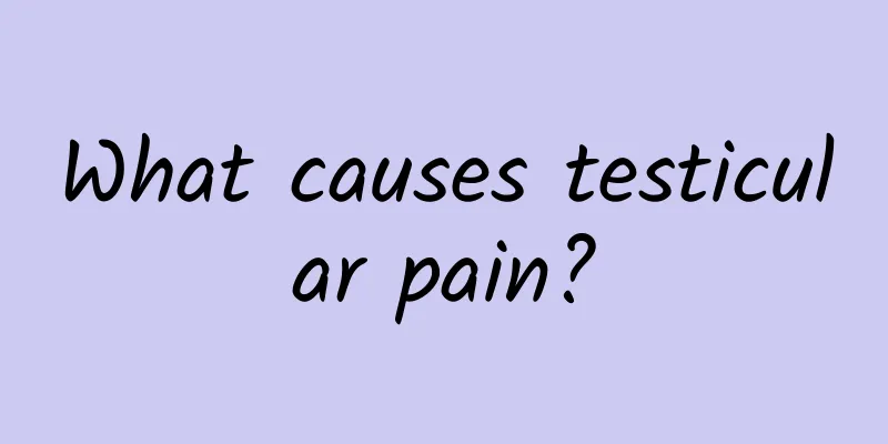 What causes testicular pain?