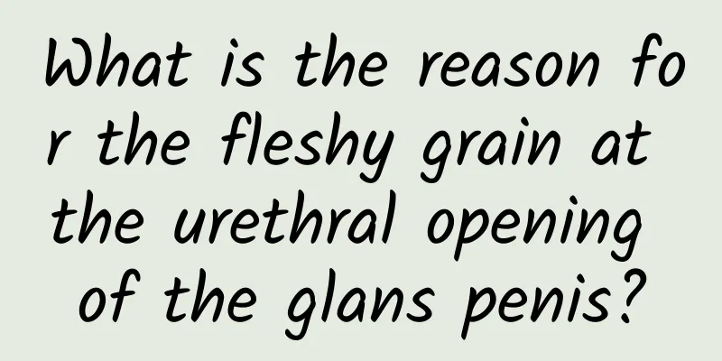 What is the reason for the fleshy grain at the urethral opening of the glans penis?