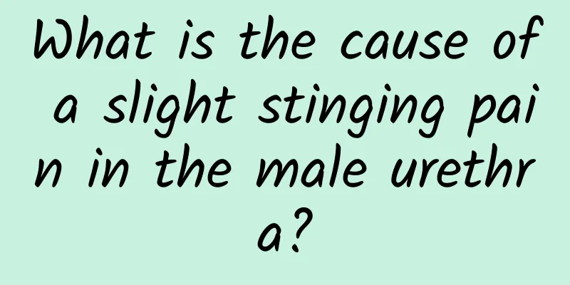 What is the cause of a slight stinging pain in the male urethra?