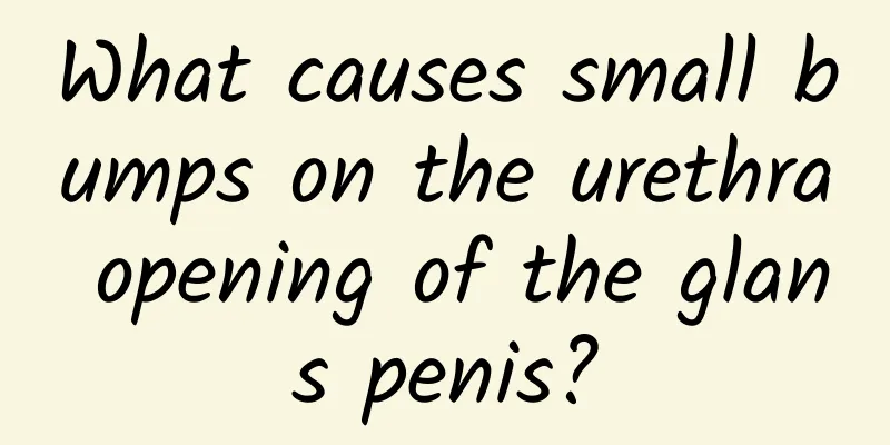 What causes small bumps on the urethra opening of the glans penis?