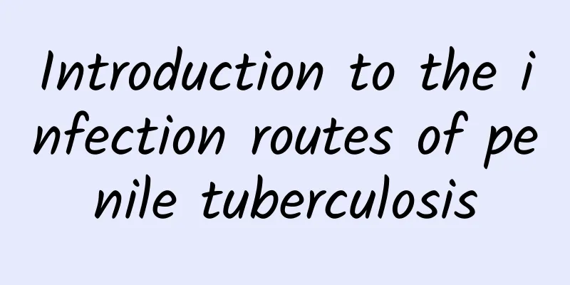 Introduction to the infection routes of penile tuberculosis