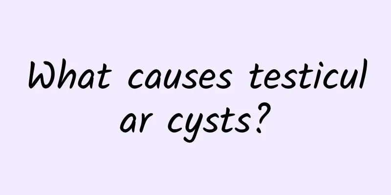 What causes testicular cysts?