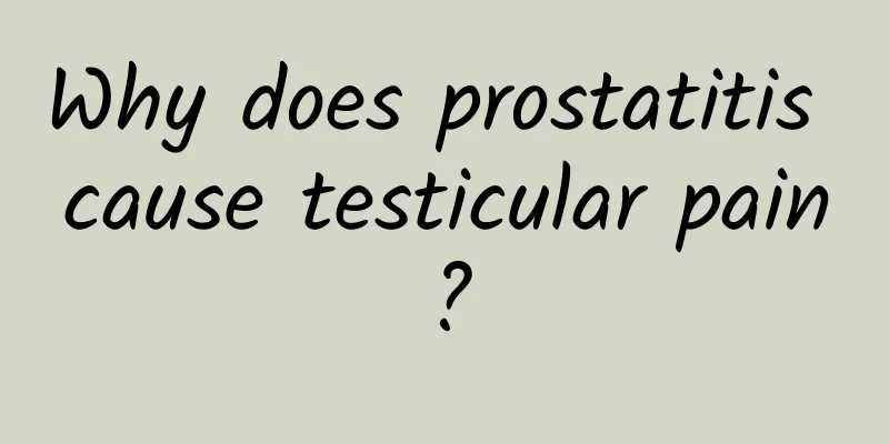 Why does prostatitis cause testicular pain?