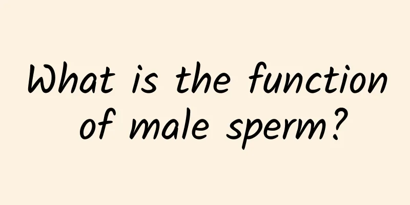 What is the function of male sperm?