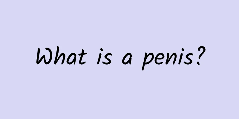 What is a penis?