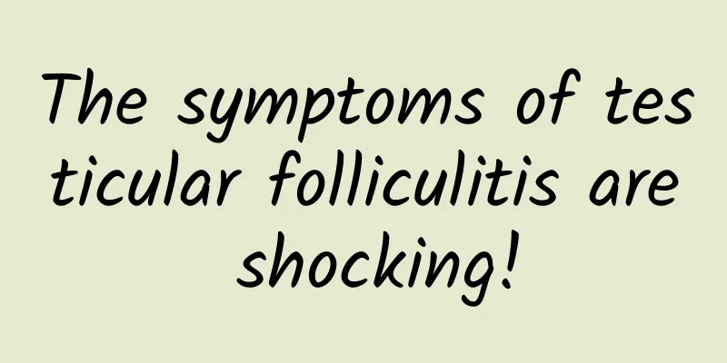 The symptoms of testicular folliculitis are shocking!