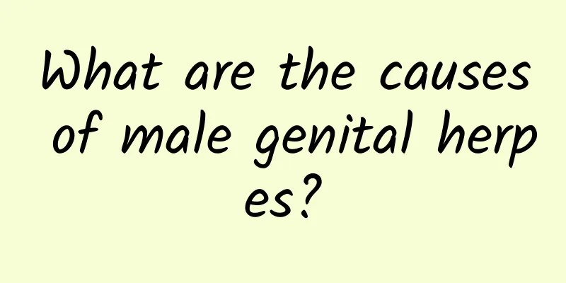 What are the causes of male genital herpes?