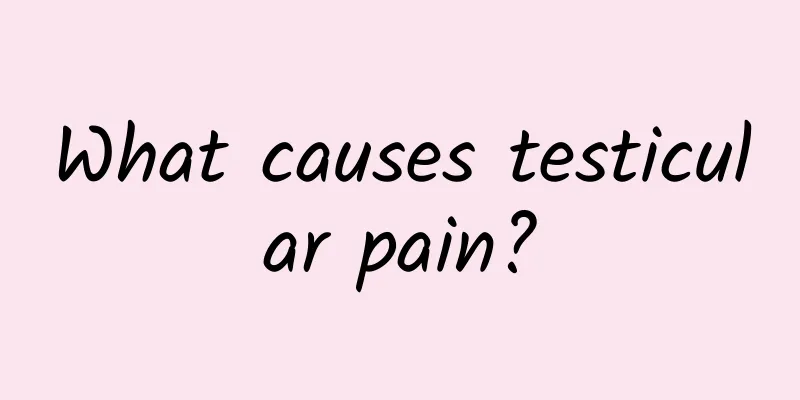 What causes testicular pain?