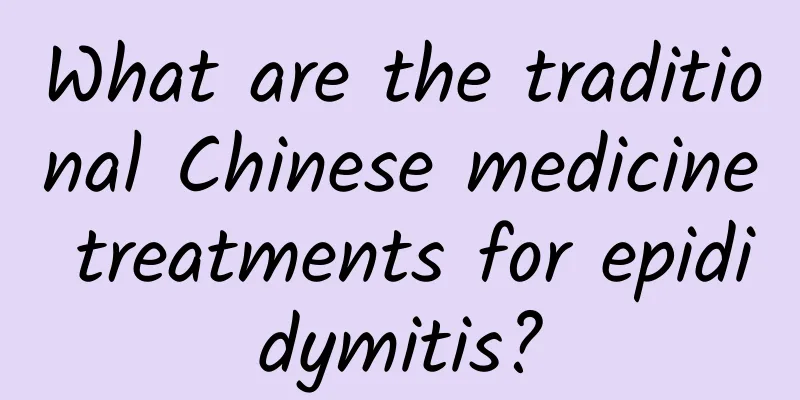 What are the traditional Chinese medicine treatments for epididymitis?