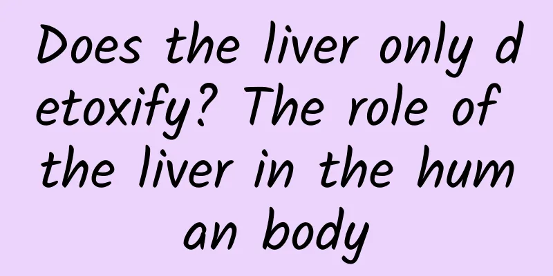 Does the liver only detoxify? The role of the liver in the human body