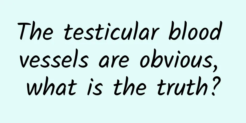 The testicular blood vessels are obvious, what is the truth?