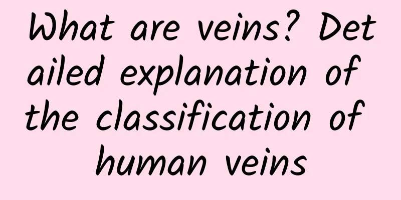 What are veins? Detailed explanation of the classification of human veins