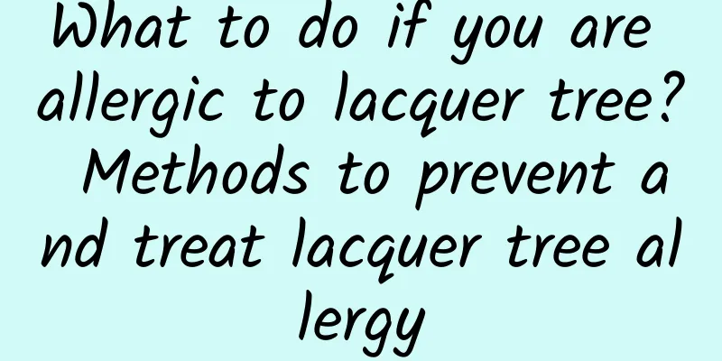 What to do if you are allergic to lacquer tree? Methods to prevent and treat lacquer tree allergy