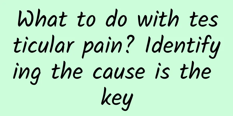 What to do with testicular pain? Identifying the cause is the key